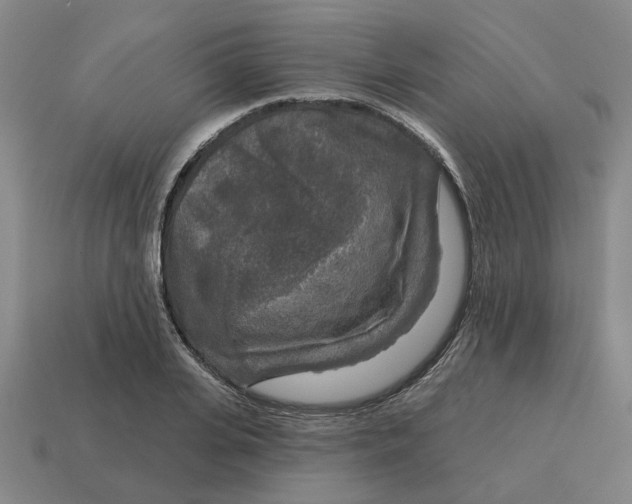 X0000114440935200911061700