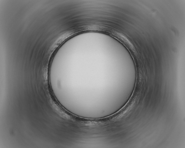 X0000114440938200911061700