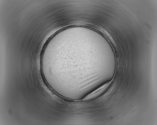 X0000114440939200911061700