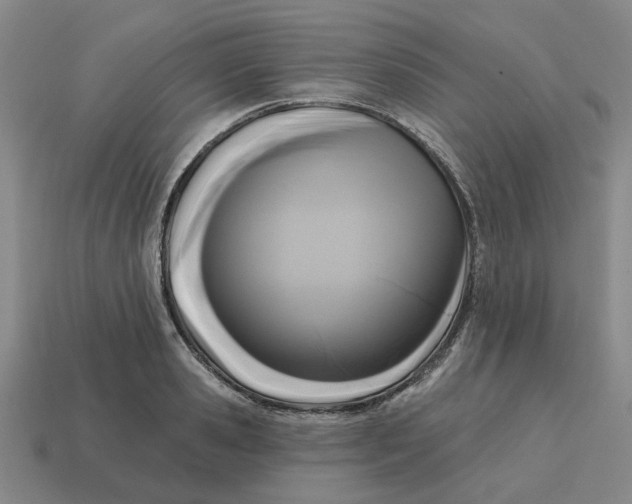 X0000114440941200911061700