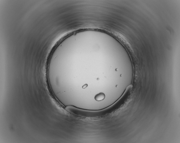 X0000114440942200911061700