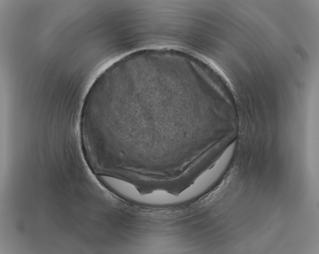 X0000114440943200911061700