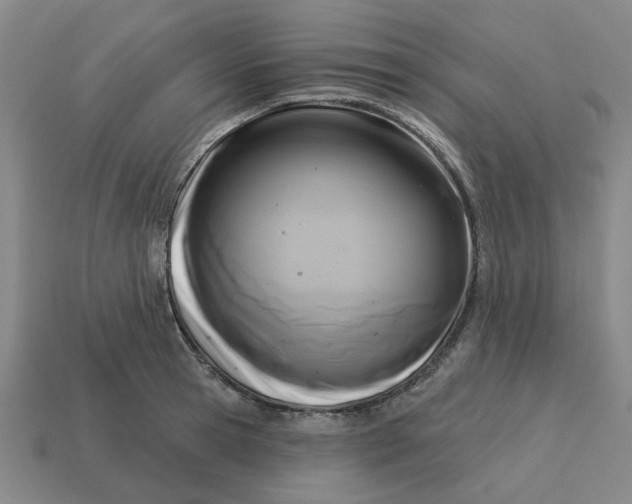 X0000114440945200911061700