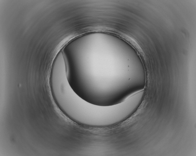 X0000114440946200911061700