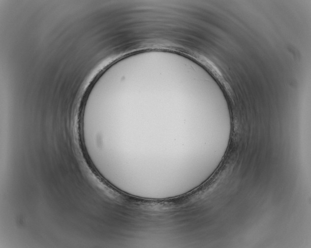 X0000114440947200911061701