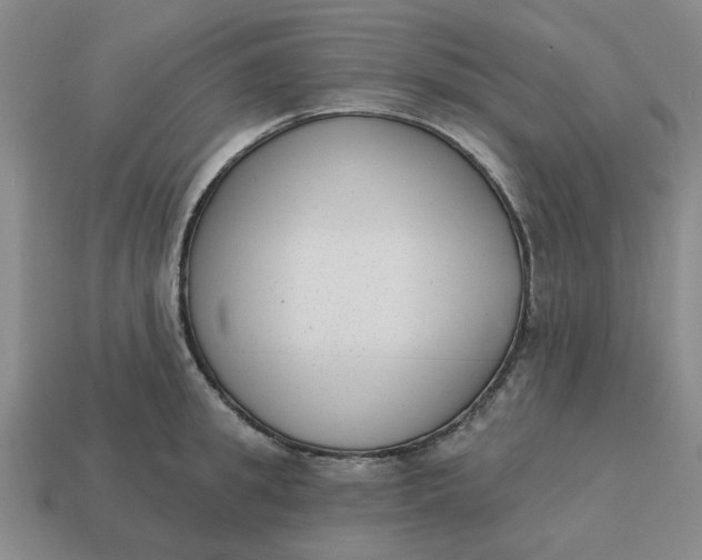 X0000114440949200911061701