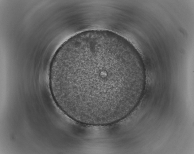 X0000114440950200911061701