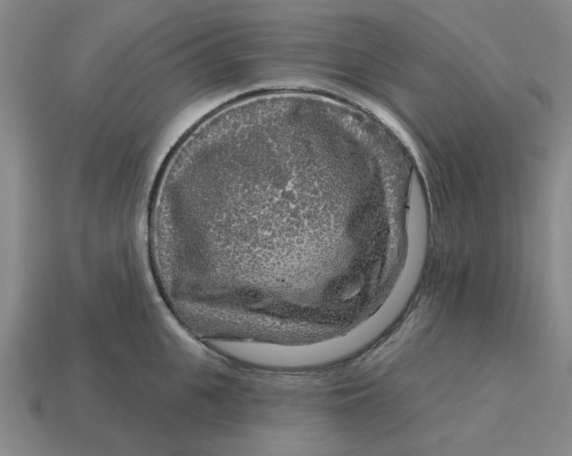 X0000114440951200911061701