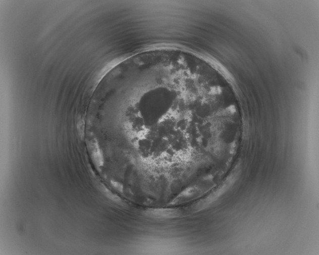 X0000114440953200911061701