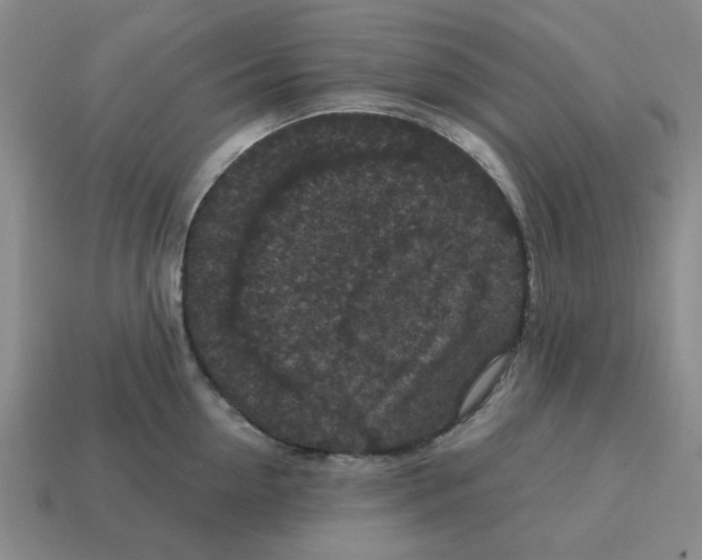 X0000114440954200911061701