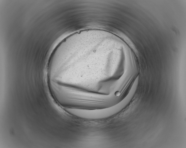 X0000114440955200911061701