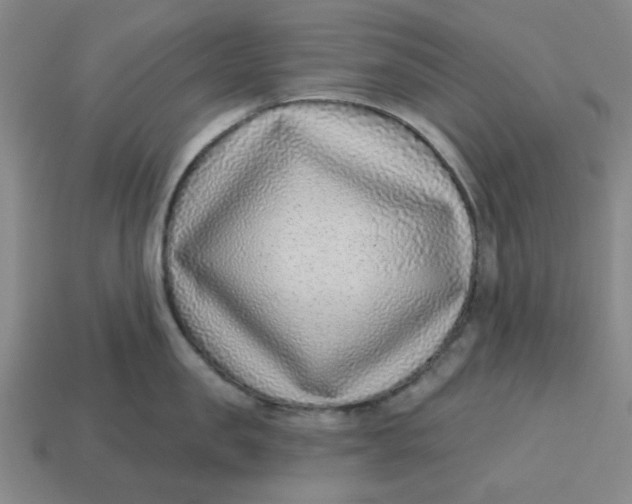 X0000114440957200911061701