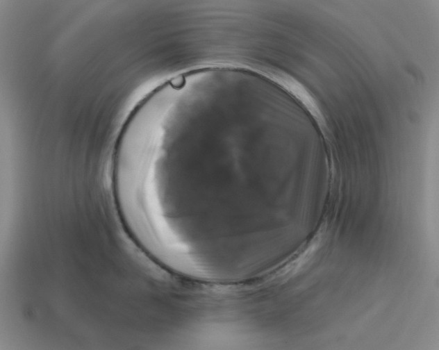 X0000114440958200911061701