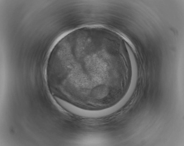 X0000114440959200911061701