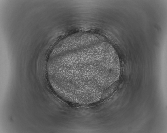 X0000114440961200911061700