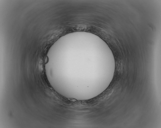 X0000114440962200911061700