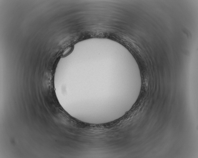 X0000114440964200911061700