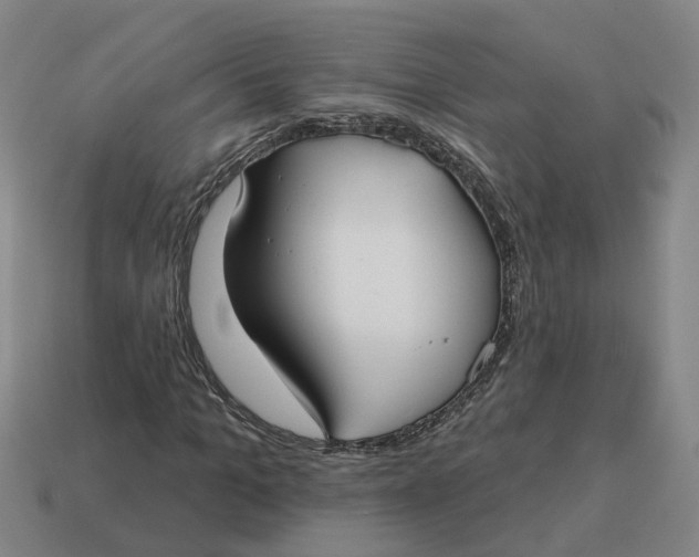 X0000114440965200911061700