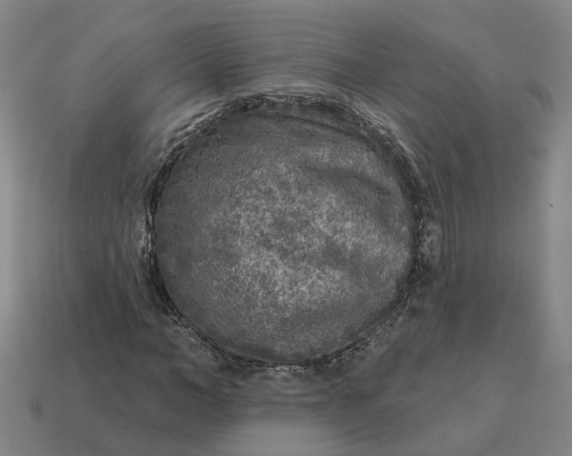 X0000114440966200911061700