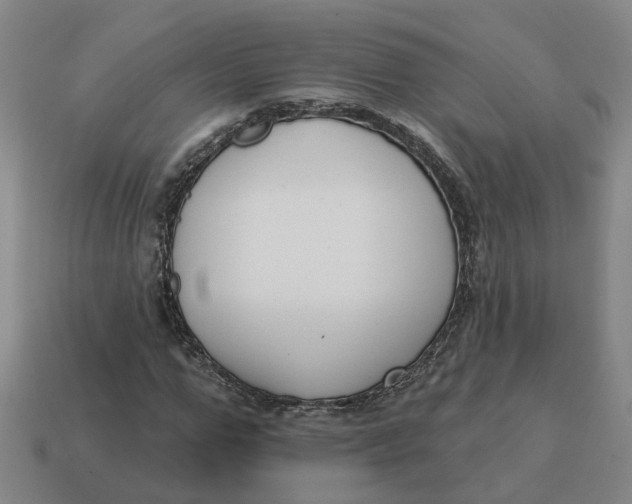 X0000114440967200911061700