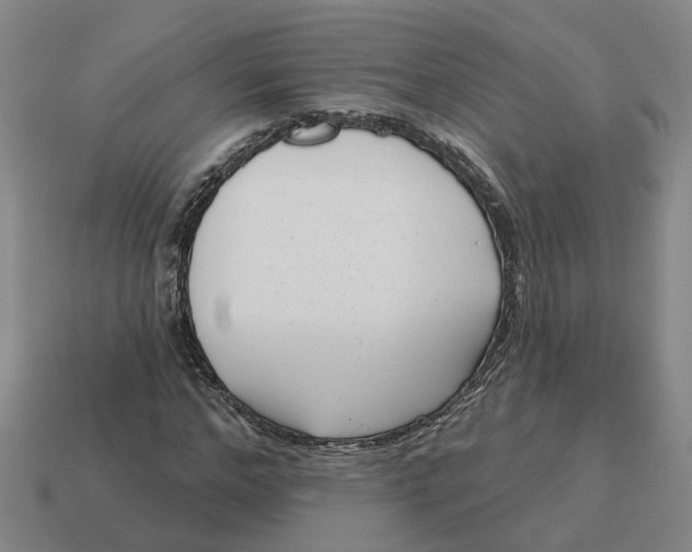 X0000114440968200911061700