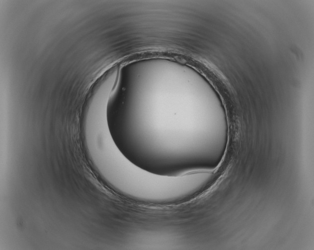 X0000114440969200911061700