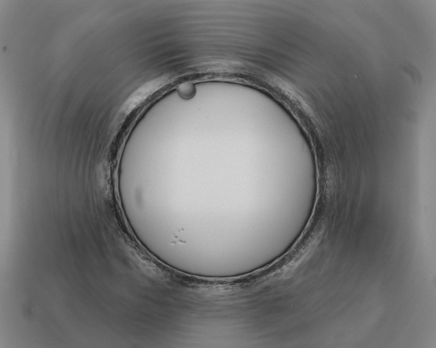 X0000114440970200911061700