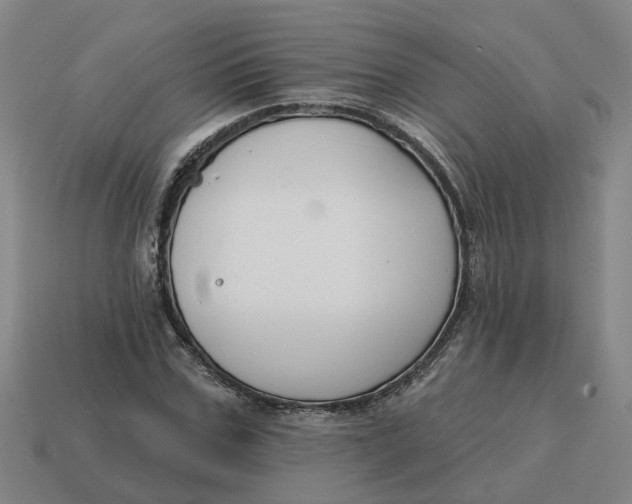 X0000114440971200911061700