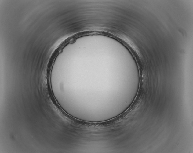 X0000114440972200911061700