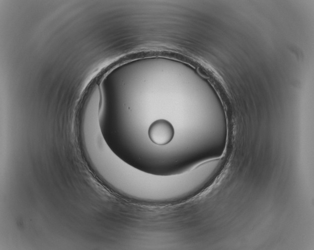 X0000114440973200911061700