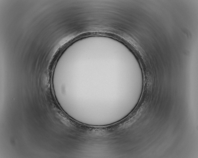 X0000114440974200911061700