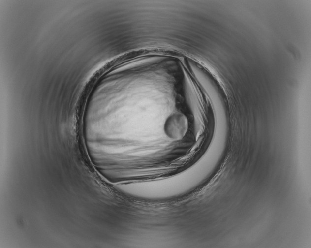 X0000114440975200911061700