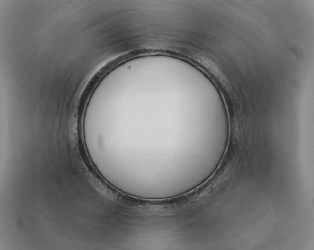 X0000114440976200911061700