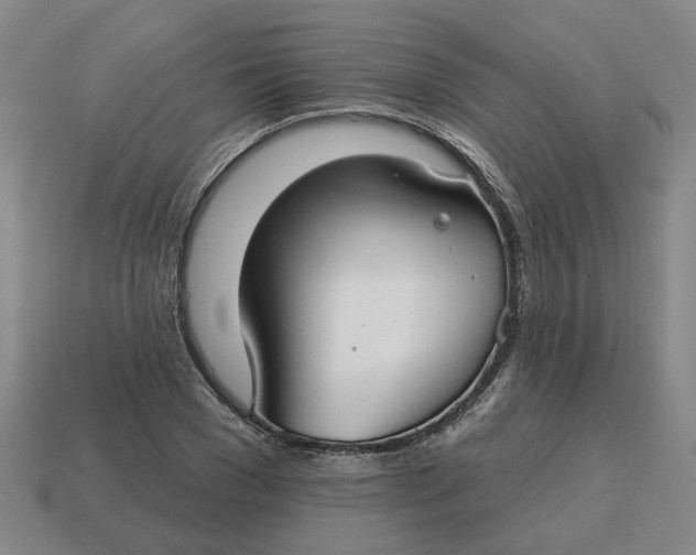 X0000114440977200911061700