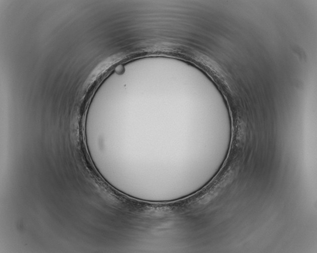 X0000114440978200911061700