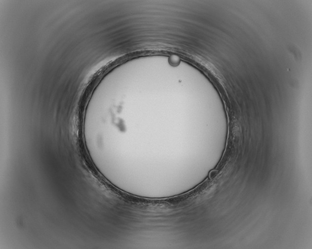 X0000114440979200911061700