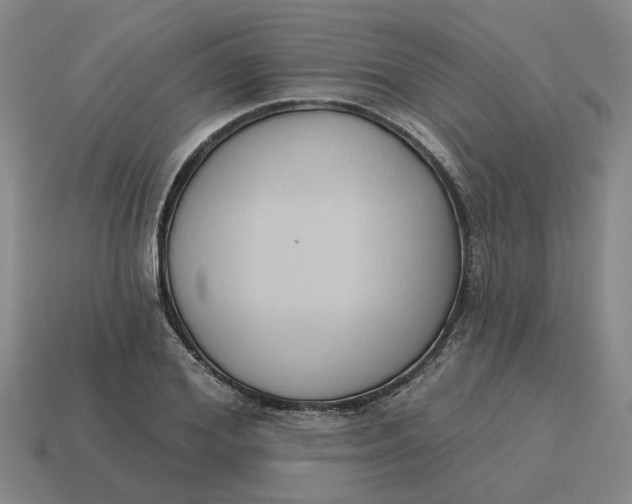 X0000114440980200911061700