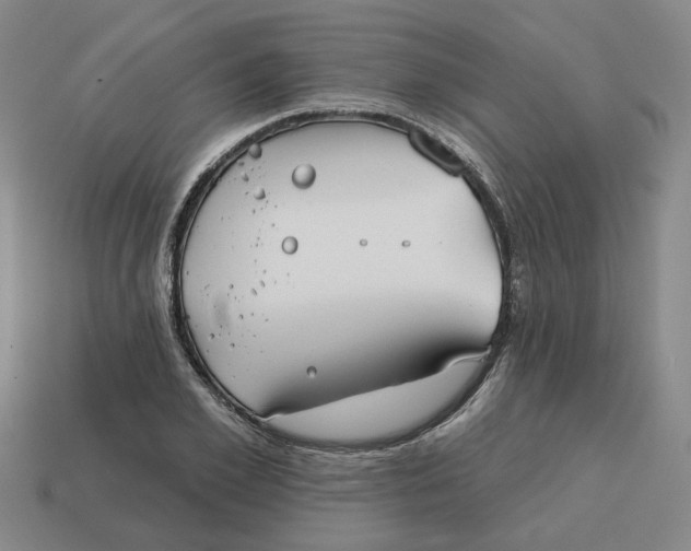 X0000114440981200911061700