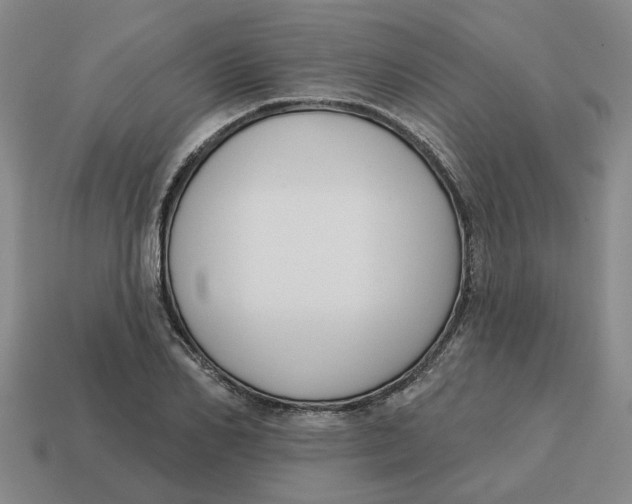 X0000114440982200911061700