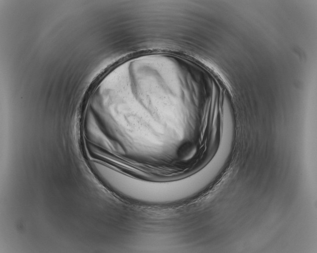 X0000114440983200911061700