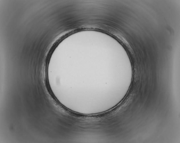 X0000114440984200911061700