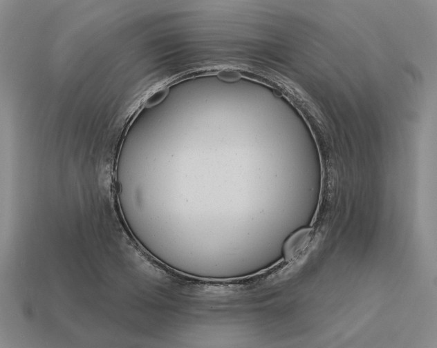 X0000114440985200911061700