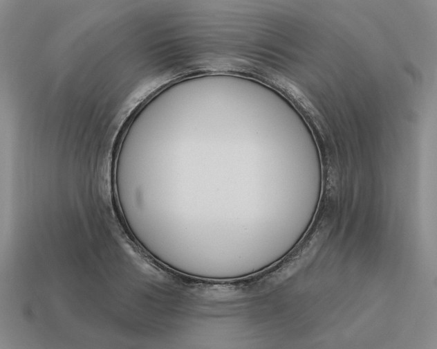 X0000114440986200911061700