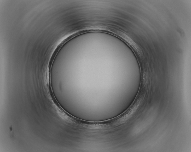 X0000114440988200911061700