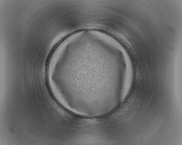 X0000114440990200911061700