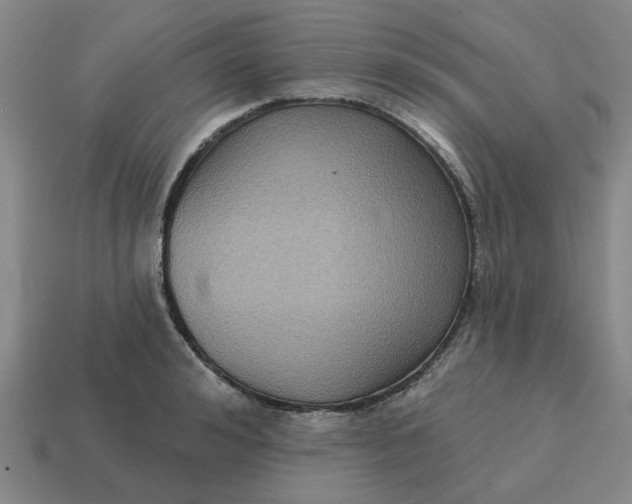 X0000114440992200911061700