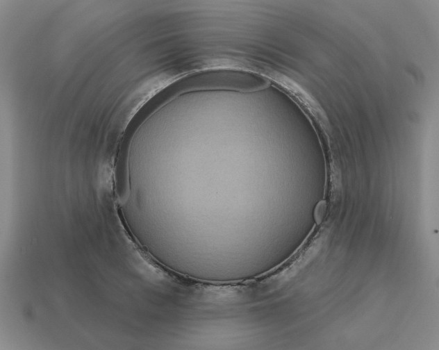 X0000114440993200911061700