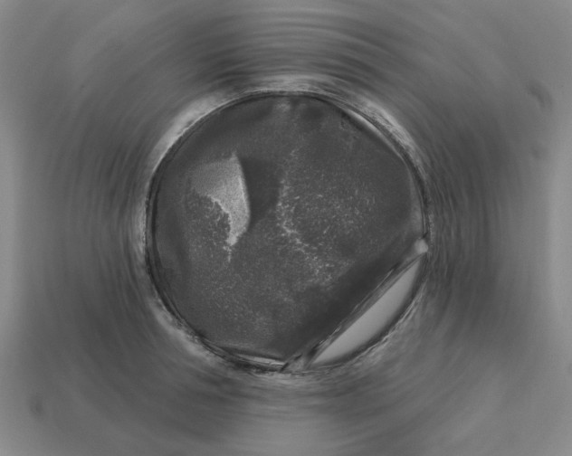 X0000114440994200911061700