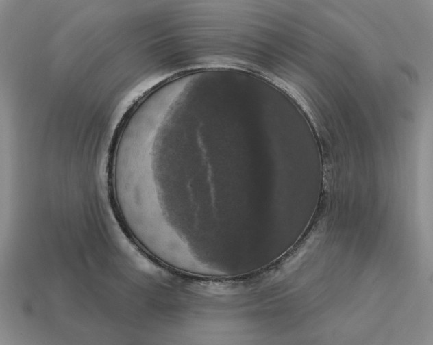 X0000114440995200911061700