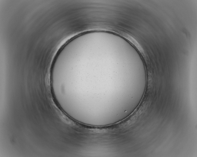 X0000114440996200911061700